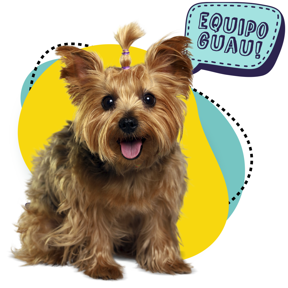 pag 3 equipo guau 1