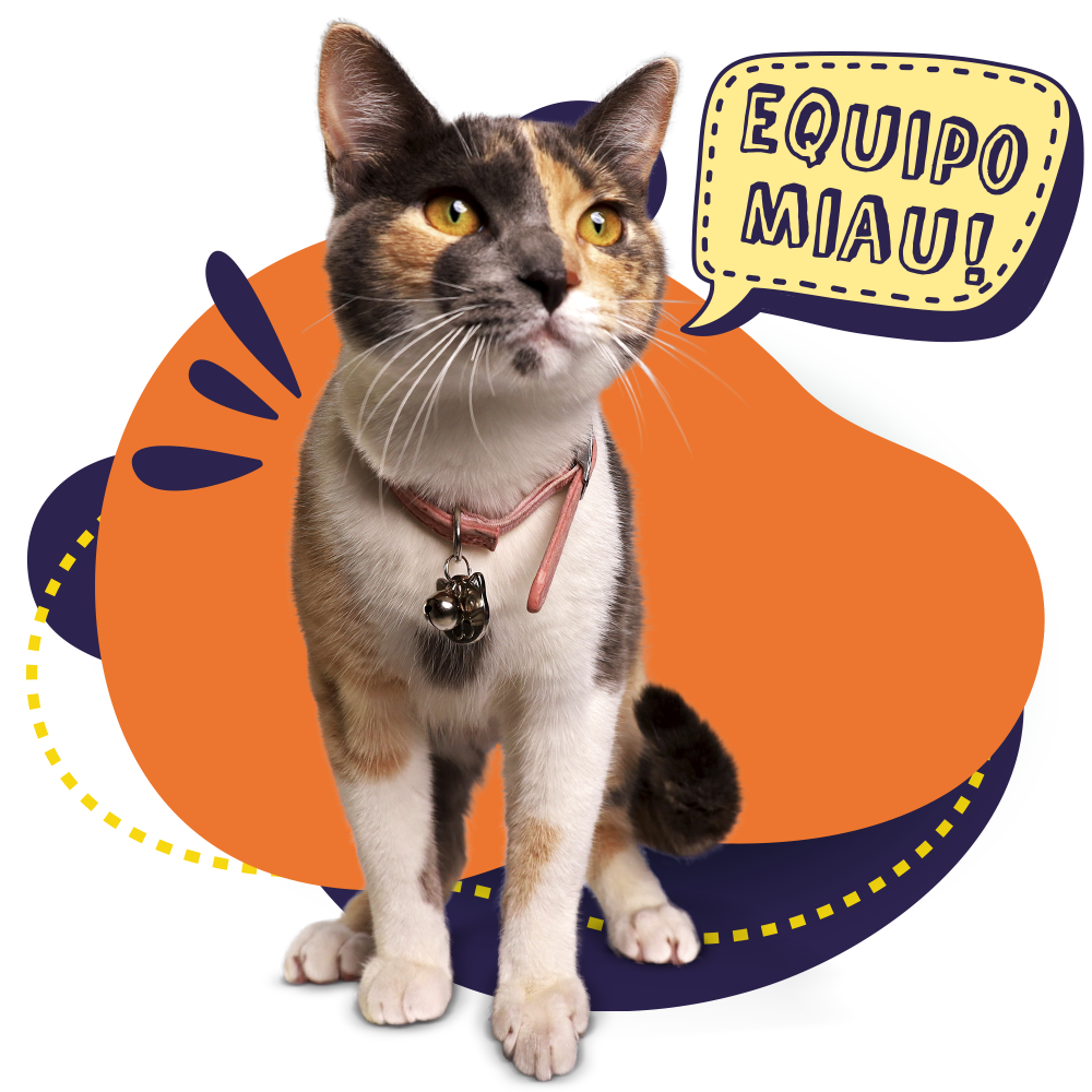 pag 3 equipo miau 1