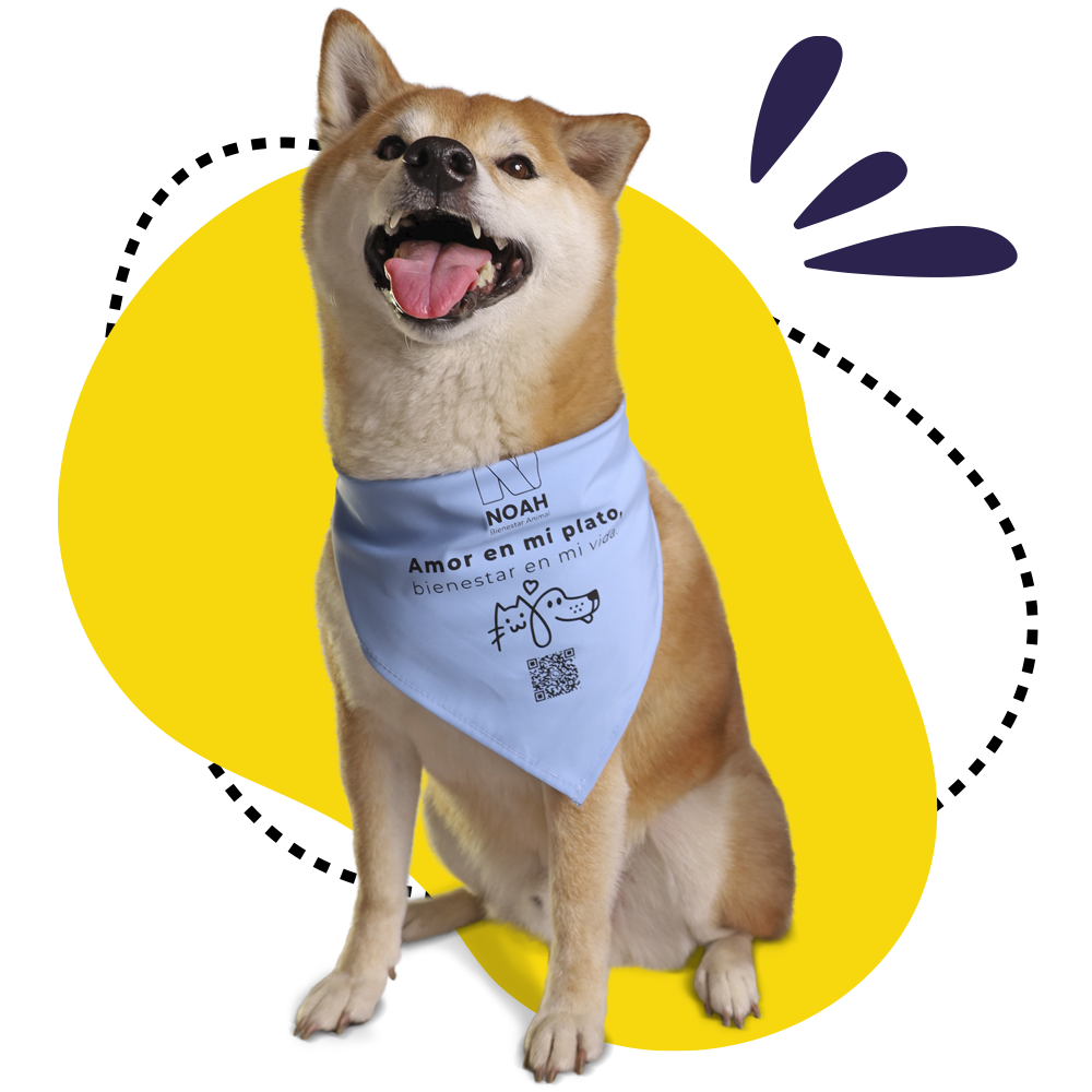 perro 1